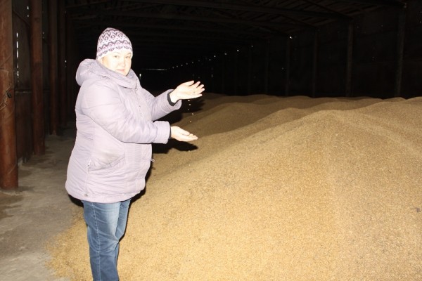 Нарастить поголовье скота - главная задача директора ООО "Пинигинское"