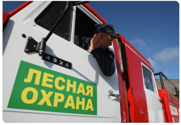 Лесной пожар ликвидировали в Ялуторовском районе Лесной пожар ликвидировали в Ялуторовском районе