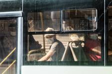 Молодогвардейцы напомнили тюменцам о масочном режиме надписями на асфальте Молодогвардейцы напомнили тюменцам о масочном режиме надписями на асфальте