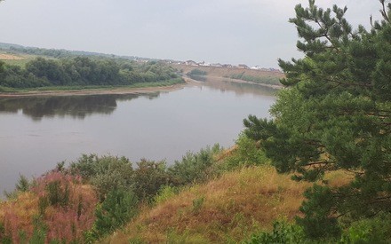 В последний день июля в Тюмени возможна гроза 
