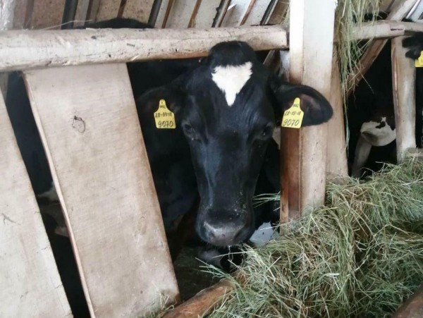 Фермер Петр Дубовик: поддержка семьи помогает развивать бизнес