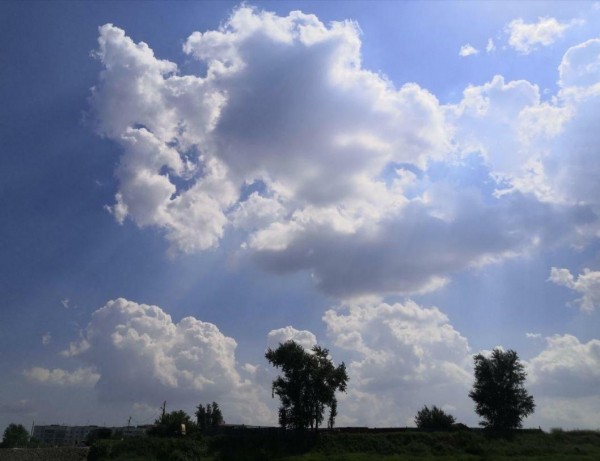 Жару в Тюмени сменит резкое похолодание