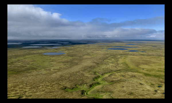 Газпром нефть и Shell запускают проект на Гыданском полуострове