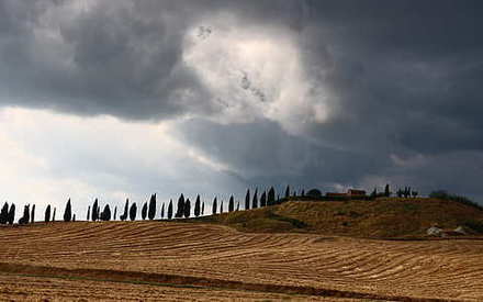 На Тюмень надвигается гроза с ливнем и ветром