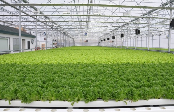 ООО "Прованс" ищет деловых партнеров в Тюменской области