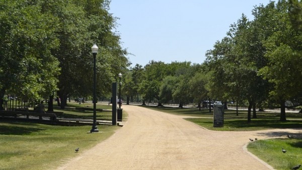 Тюменцам на три недели запретили посещать леса  