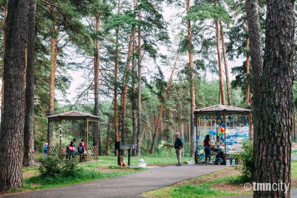 
В жару тюменцы могут отдохнуть у воды и в городских лесах
