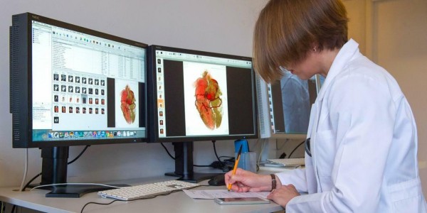 МегаФон предложил цифровые решения для медицины