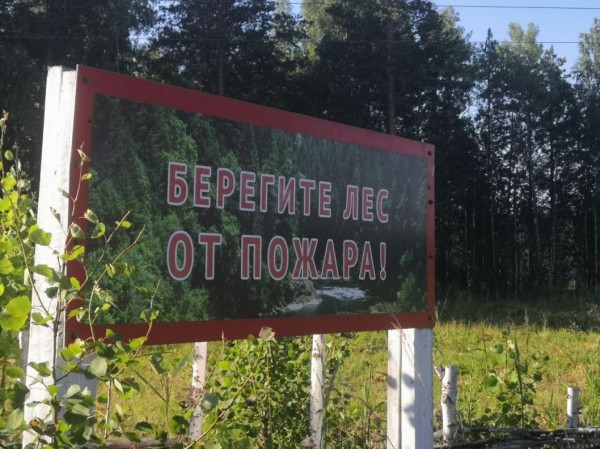 Александр Моор запретил посещение лесов для профилактики пожаров