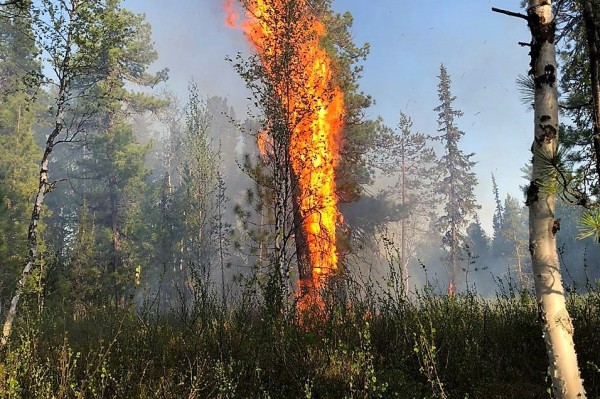 В Югре могут создать единую структуру по тушению пожаров