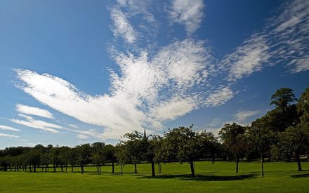 Неделю в Тюменской области будет стоять аномальная жара 