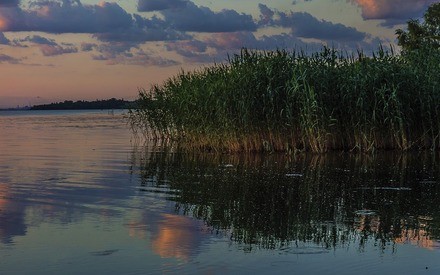 Вторник в Тюмени будет теплый и без дождя