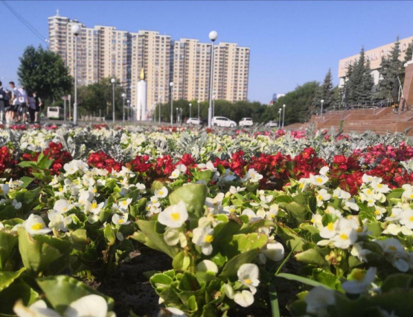 Тюменская область вышла в лидеры по эффективности закупочных систем
