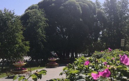 Снова +32: четверг в Тюмени будет жарким