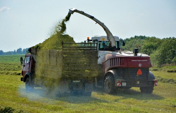 Половину плана заготовки кормов выполнили в Викуловском районе 