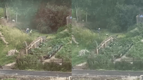 В Тюмени ребенок чуть не утонул в Червишевском болоте 