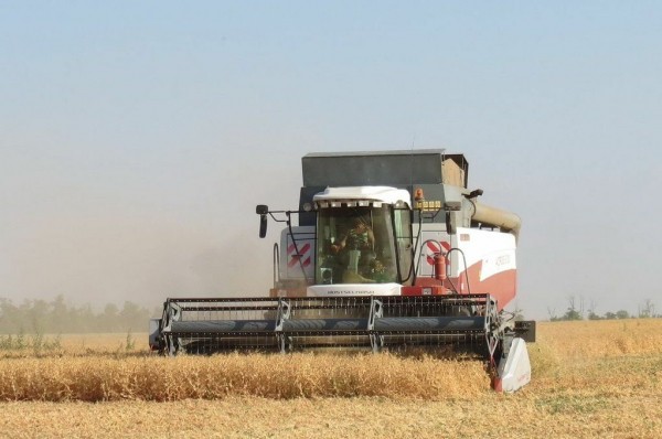 Дождь не станет помехой для казанских хлеборобов