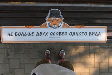 Наклейки с животными появились на парковых скамейках в Тюмени 