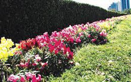 В четверг воздух в Тюмени потеплеет до +23 градусов