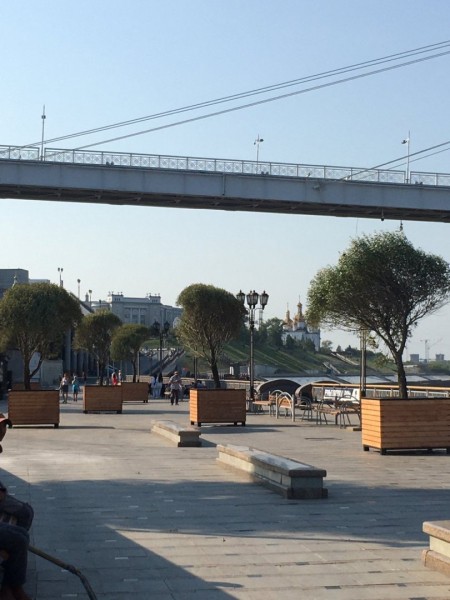 
Тюменскую набережную украсили ивы
