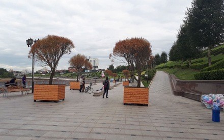 Среда в Тюмени будет пасмурной и ветреной