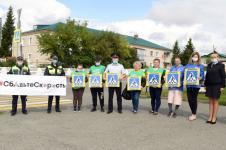 В 150 ДТП с участием пешеходов виноваты водители, заявили инспекторы 