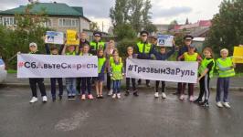 В 150 ДТП с участием пешеходов виноваты водители, заявили инспекторы 