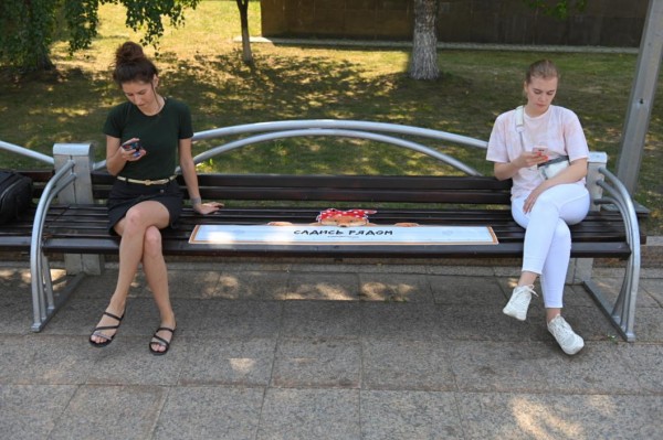 Наклейки с животными появились на парковых скамейках в Тюмени 