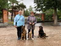 Двадцать пять организаций участвовали в фестивале "Добрый Тобольск" Двадцать пять организаций участвовали в фестивале "Добрый Тобольск"