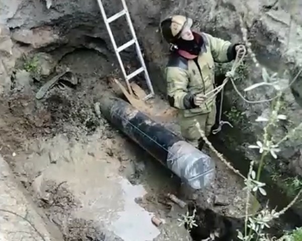 Тюменские пожарные спасли собаку из глубокой ямы 