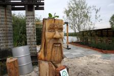 Первые городские активности на территории озера Алебашево пройдут уже в сентябре