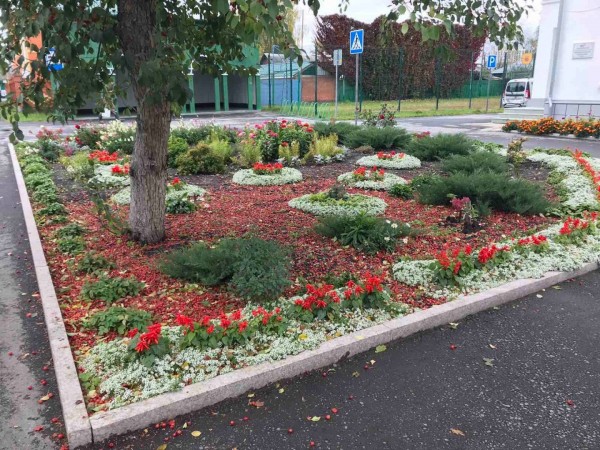 
Лучший школьный участок?..
