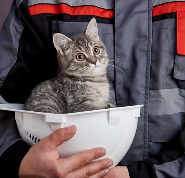 Банк "Дом.РФ" выделил 4 млрд рублей на строительство ЖК в Тюмени