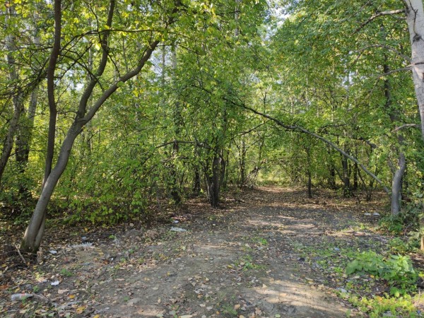 
Знакомы с правилами организации городского пространства? У нас для вас отличное предложение!&nbsp;
