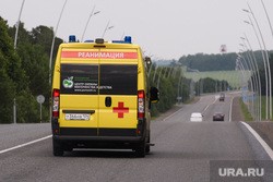 Четверо тюменцев погибли в ДТП из-за дикого кабана