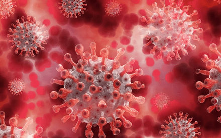 За сутки в Тюменской области заболели ковидом 50 человек За сутки в Тюменской области заболели ковидом 50 человек