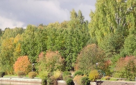 В Тюмени сохранится дождливая ветреная погода