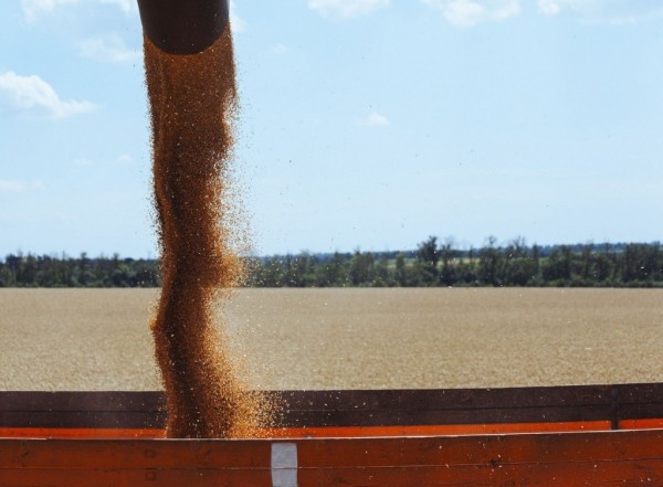 В Исетском районе сеют озимые и готовят почву под будущий урожай 