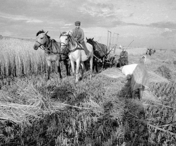 Не поделили имущество &ndash; убили детей: не пионеров и не героев