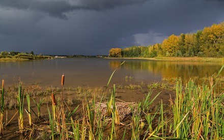Пятница в Тюмени будет пасмурной и ветреной