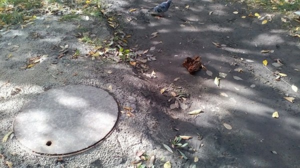 Депутат помог тюменцам восстановить благоустройство возле жилого дома