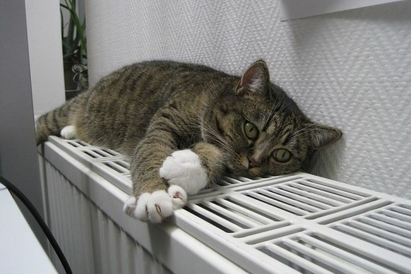 Подготовка к отопительному сезону завершается в Тюменской области  