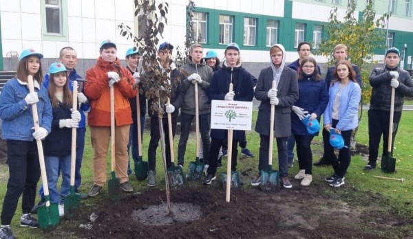 
Классные деревья!
