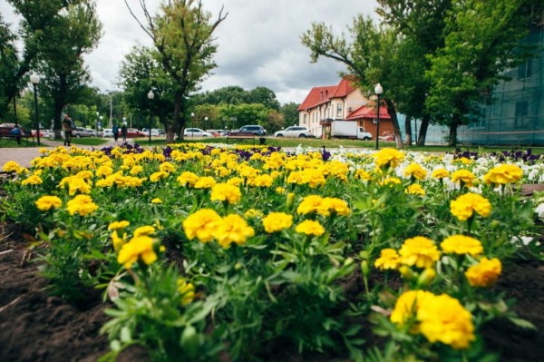 Частный сектор Тюмени может перейти на индивидуальное отопление