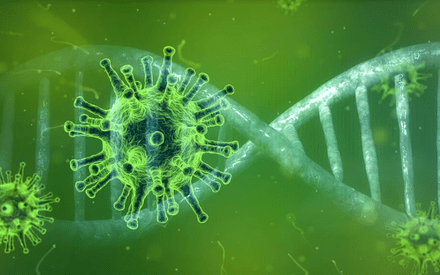 От коронавируса в Тюменской области скончалась молодая женщина От коронавируса в Тюменской области скончалась молодая женщина