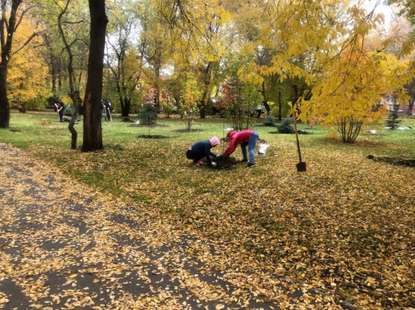 Аллея ветеранов появилась в Ленинском округе Тюмени