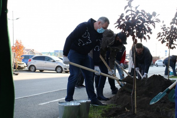 
Расти и радовать глаз
