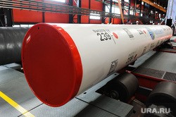 Самое важное в России и в мире на 20 октября. Российскую армию предложили сократить, Лукашенко меняет тактику, плату за ЖКХ для россиян могут отменить