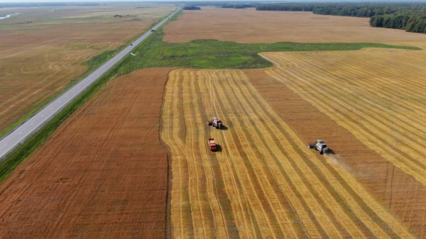 В Тюменской области ввели в оборот более 280 га сельхозземель 