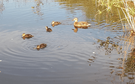 В среду в Тюмени максимальная температура воздуха составит всего +6 градусов